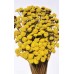 FLORAL BUTTONS Yellow 18"